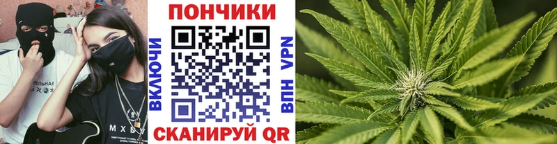 Каннабис ГИДРОПОН  как найти   Невель 